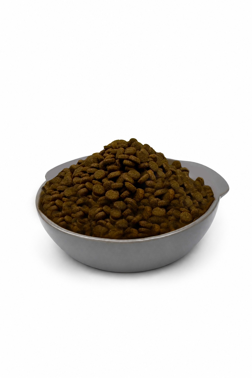 Gastro — wygląd karmy w misce