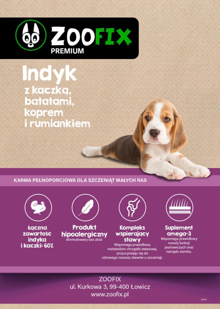 Szczenię · mała rasa